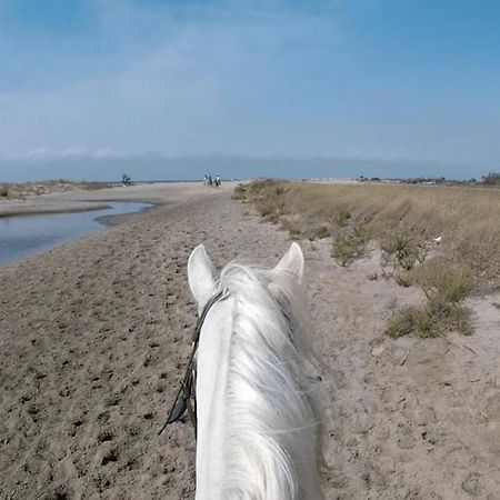 "La Pradeto" Gite Rural Camargue Arles Extérieur photo